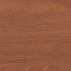 0011_Beech
