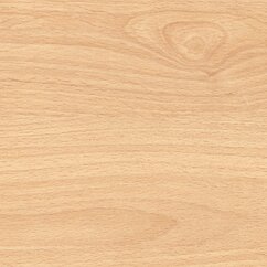 0019_Beech_Light