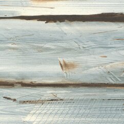 0216_Maritimo_Pine