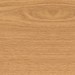 0219_Oak 2